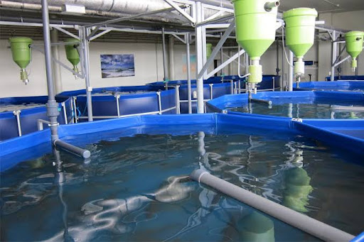 Wärmepumpe für Aquakulturpool